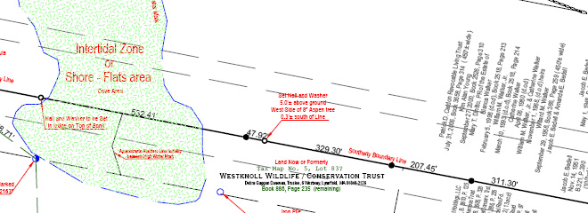 Boundary Survey Map